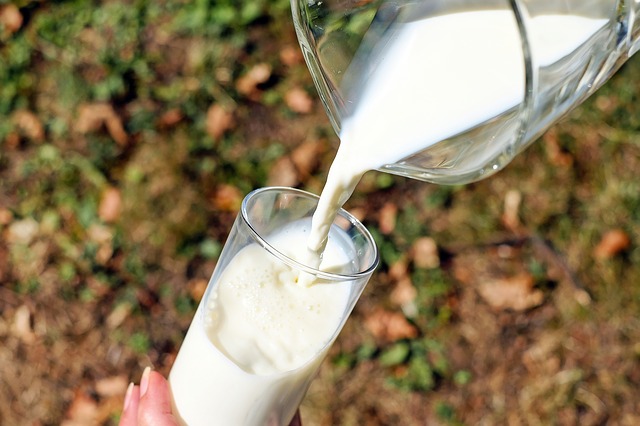 Sữa nguyên chất so với sữa ít béo: Loại nào tốt hơn?